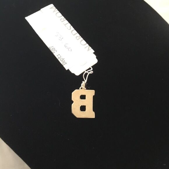 Silver and Gold Raised Edge Letter Charm (E2) - Picture 3 of 4